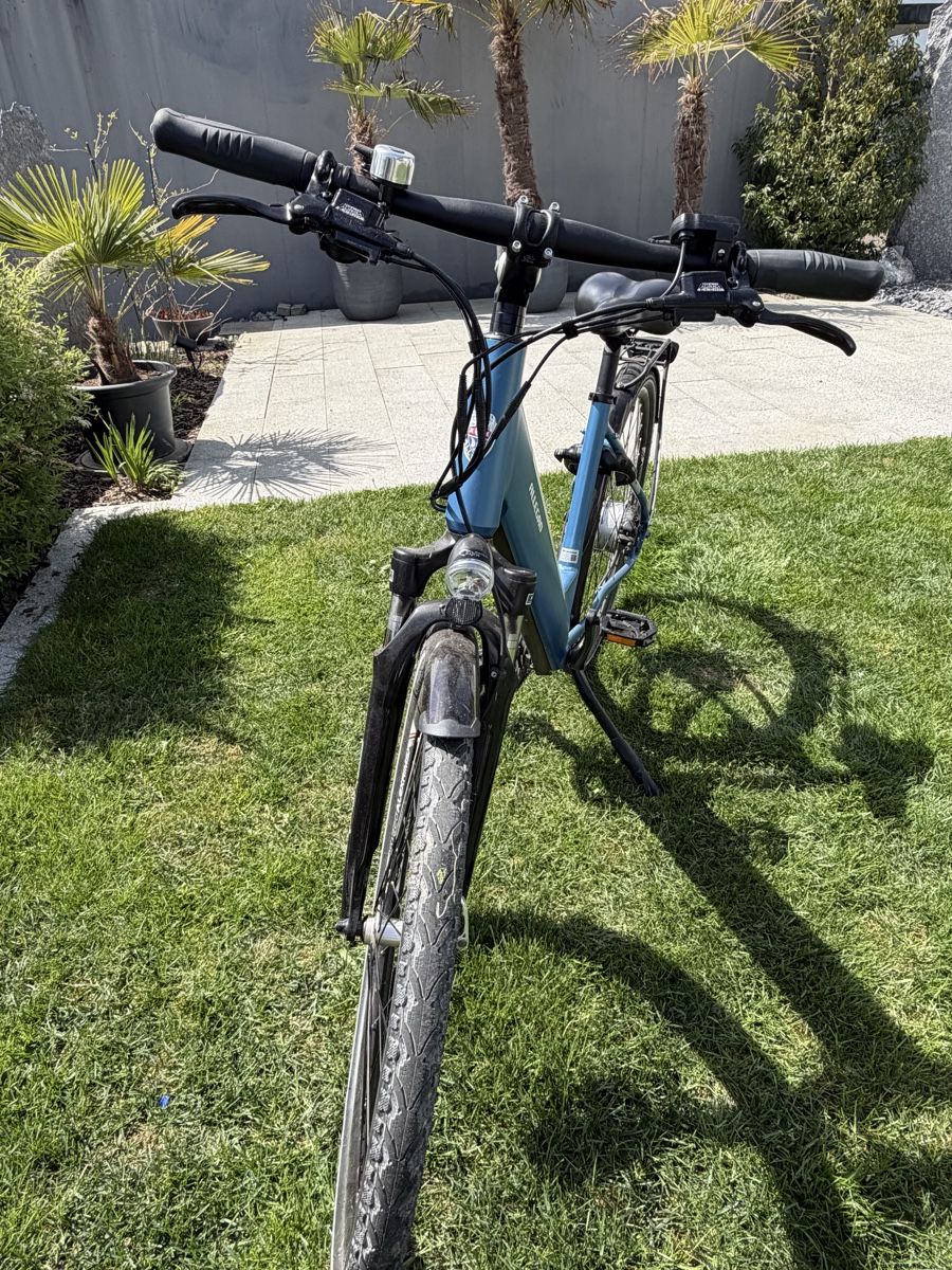 Biciclette: E-Bike Allegro Explorer – Usato da Ettenhausen TG venduto da Pascha03 5