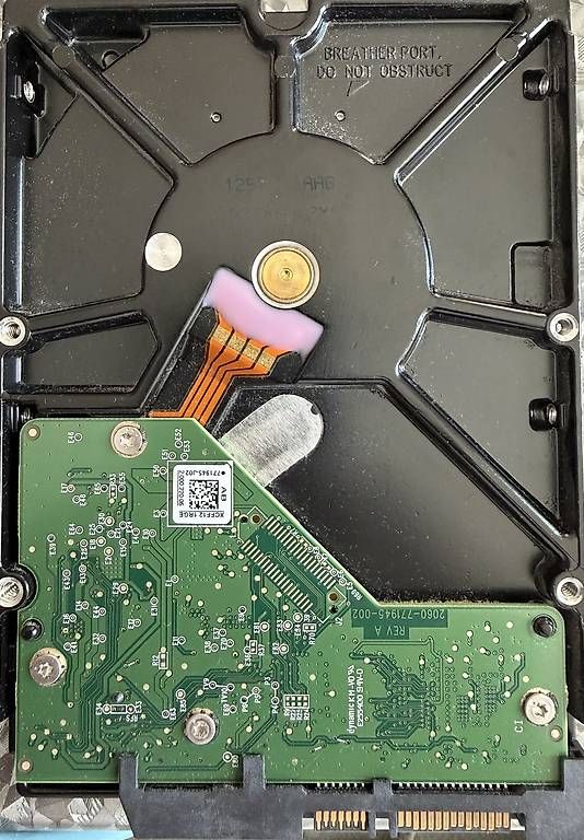 Dischi rigidi: Disque dur WD 3 GB NAS RED – Usato da Vernier venduto da Calimero1975 1