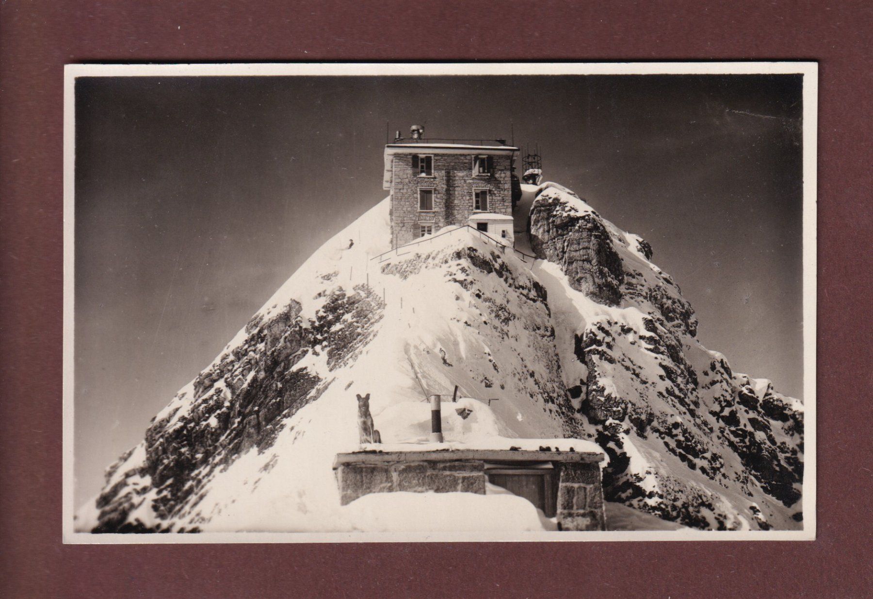 Ansichtskarten: SÄNTIS - Hund - Observatorium – Gebraucht aus Pully von nicecards-shop