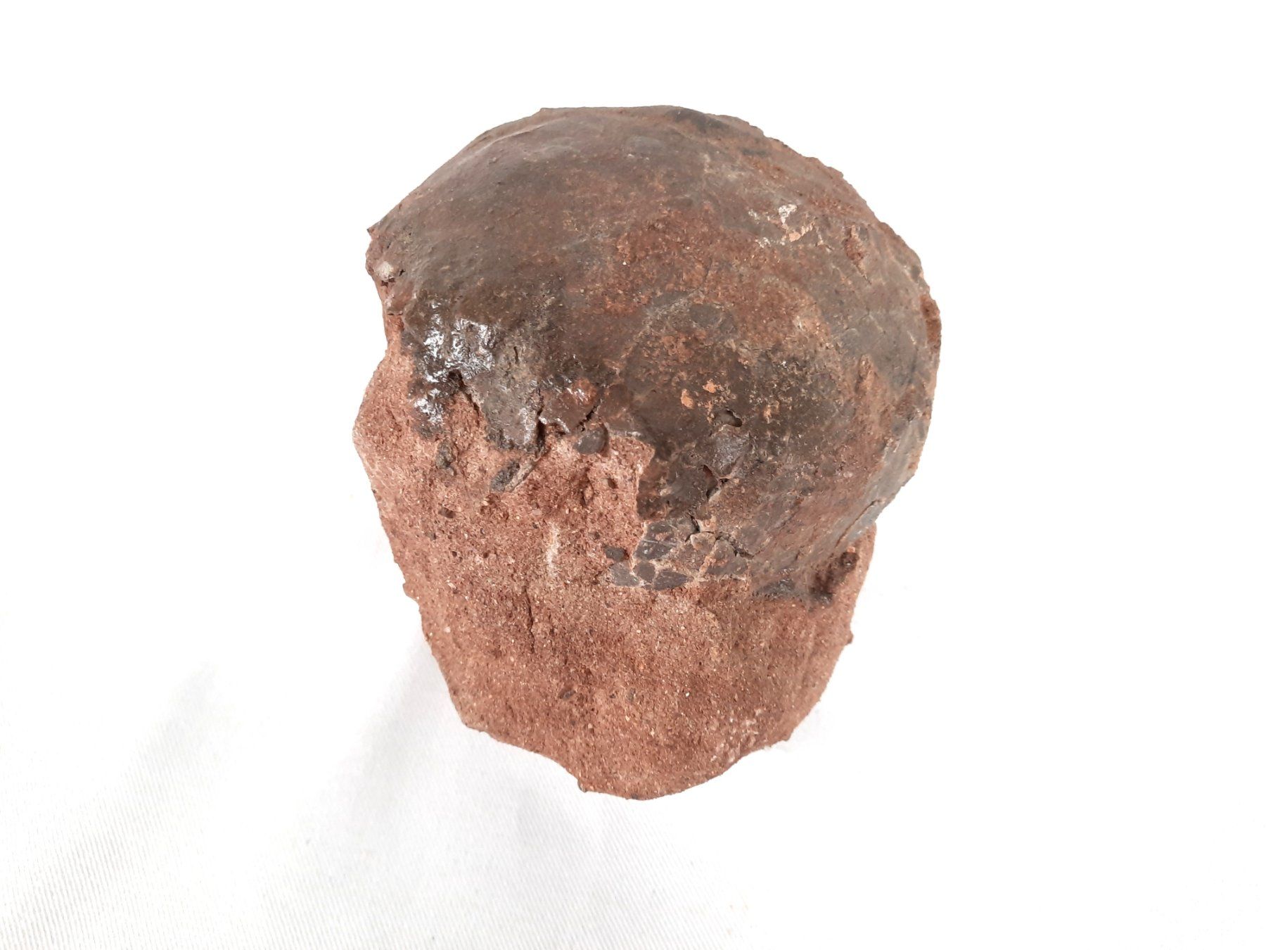 Fossili: Dinosaurier Ei versteinert – Usato da Beinwil am See venduto da Restwert_Beinwil 3