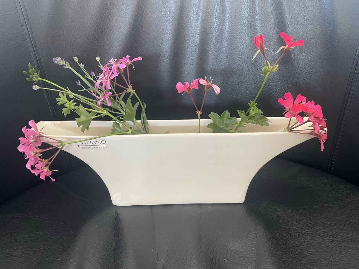 Vasen & Gefässe: Formschöne Vase 🌸 – Neu (gemäss Beschreibung) aus Rüti ZH von kar_xx9l