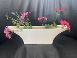 Formschöne Vase 🌸