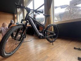 Riese & Müller Delite GT vario HS