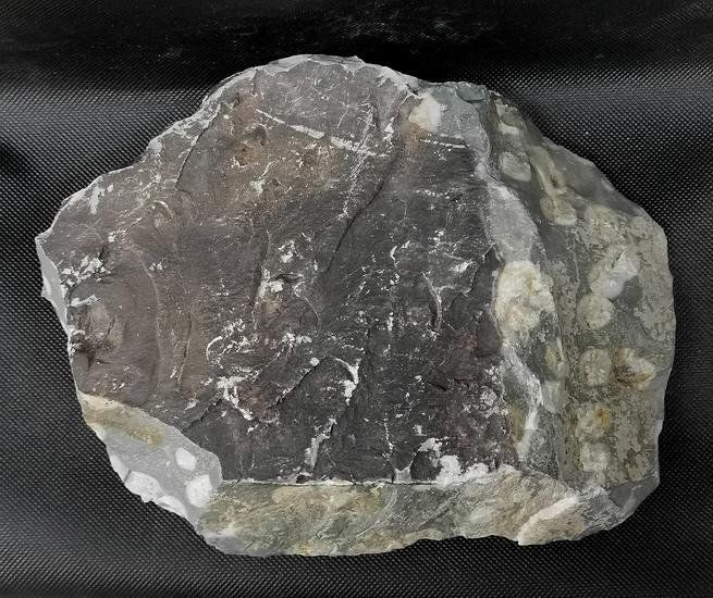Minerali & Pietre curative: Greenplum Jaspis Rohstein – Nuovo (secondo la descrizione) da Walenstadt venduto da vkt_qc8d 3