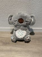 Original EVORA Entspannungs Koala