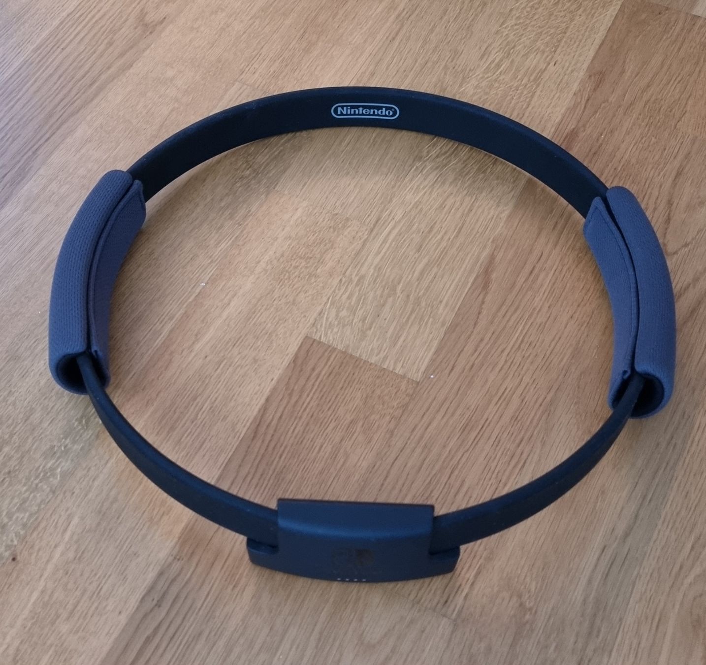 Nintendo Giochi: Nintendo Ring Fit Adventure Ring - Top Zustand! – Usato da Lostorf venduto da eressea28 1