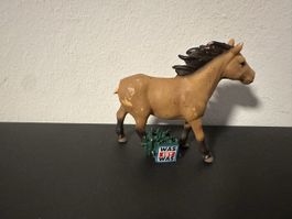 Tonie Was ist Was Pferd