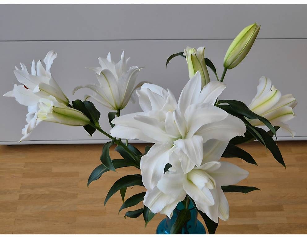 Vasi & Recipienti: Vase aus Glas, türkis/blau – Usato da Urtenen-Schönbühl venduto da sandrabern01 3