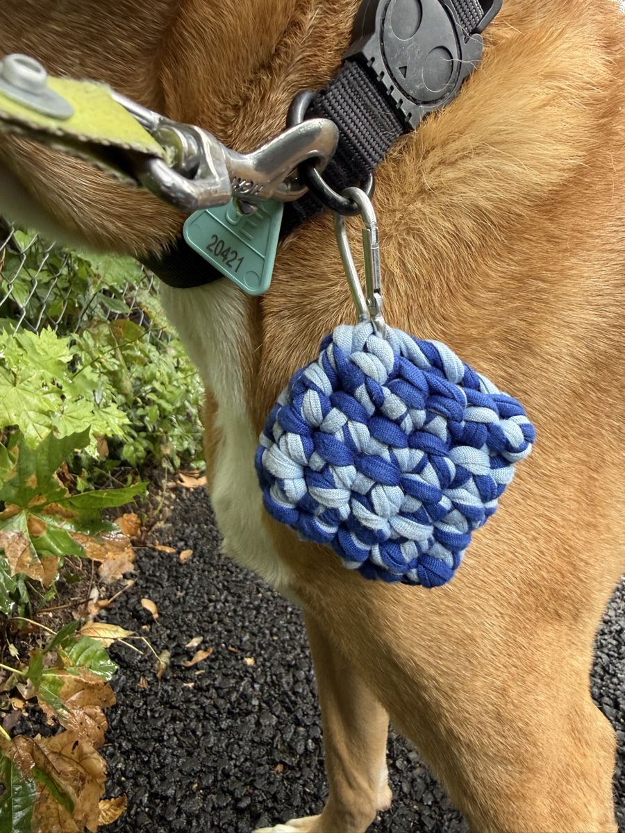 Borse: Pochette accessoire pour chien – Nuovo e nell'imballaggio originale da Genève venduto da van_yjj2