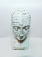 Phrenologie Büste Studienkopf Carl Huter Vintage Deko Por...
