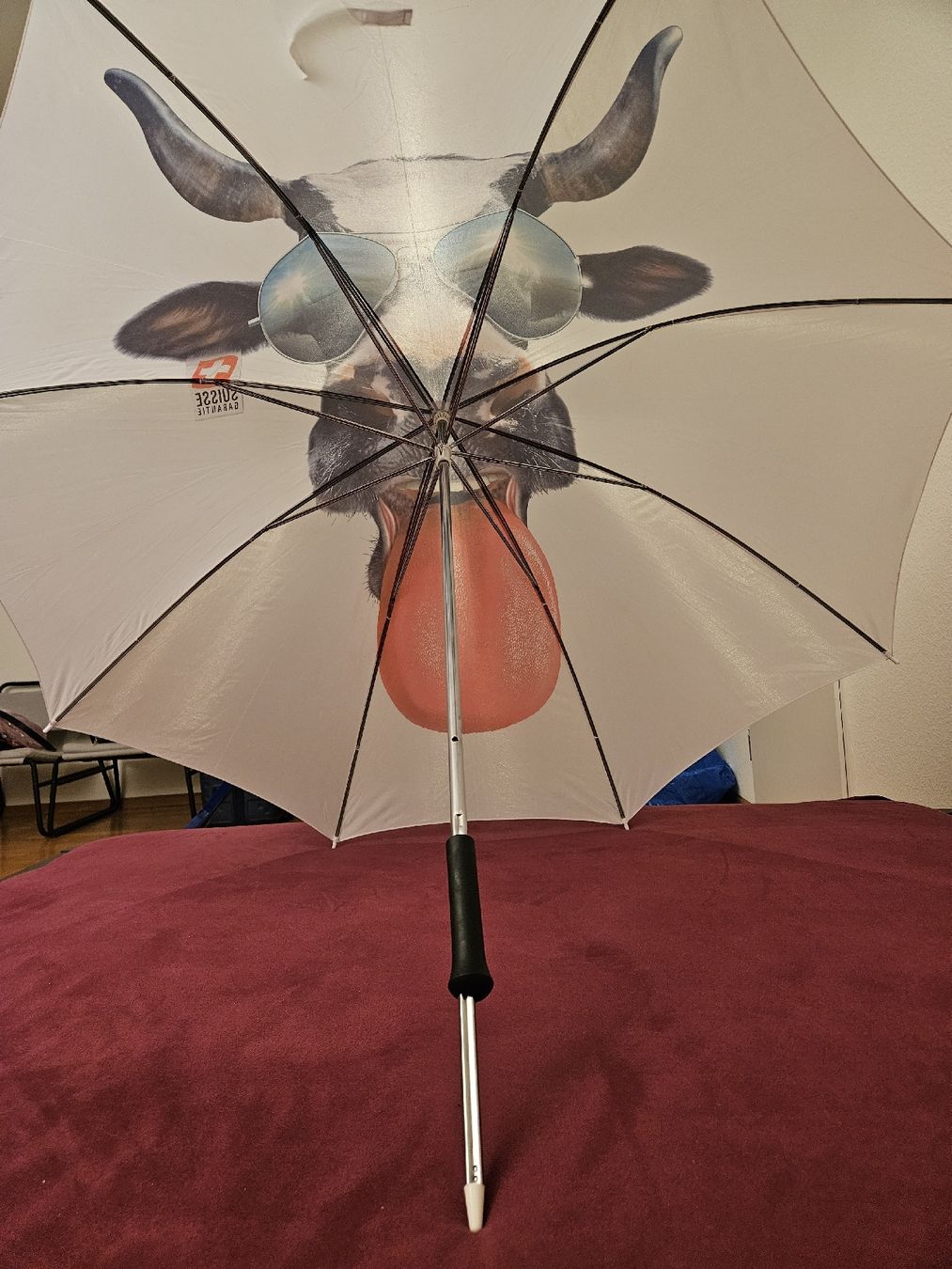 Parapluies: Picnic/Garden Umbrella – Neuf (Voir description) à Basel par yat_r699 6