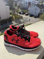 Under Armour Trainingsschuhe (43)