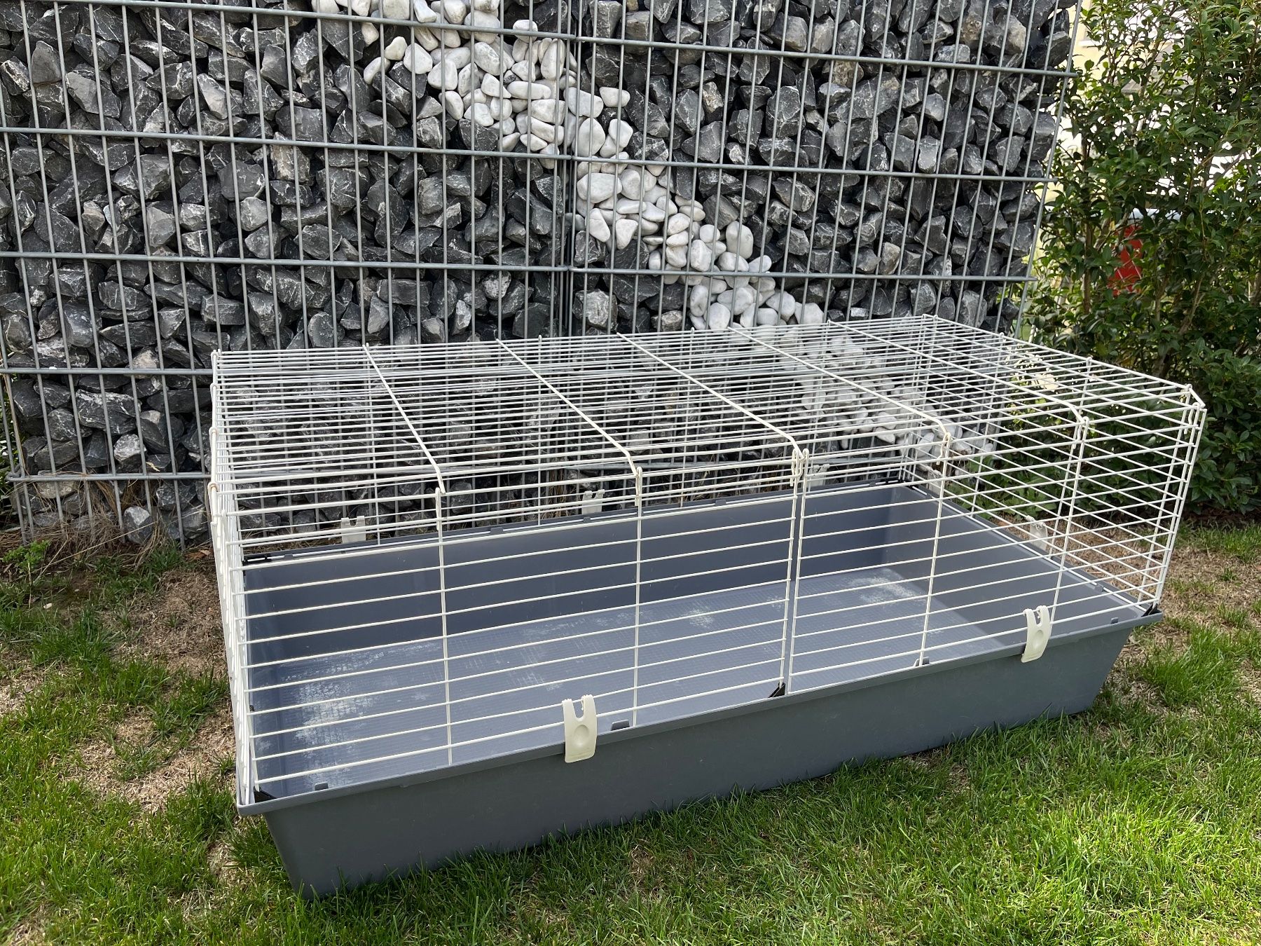 Ferplast Käfige, Transport & Sicherheit: Meerschweinchen Kiste – Gebraucht aus Bösingen von kaisten2 2