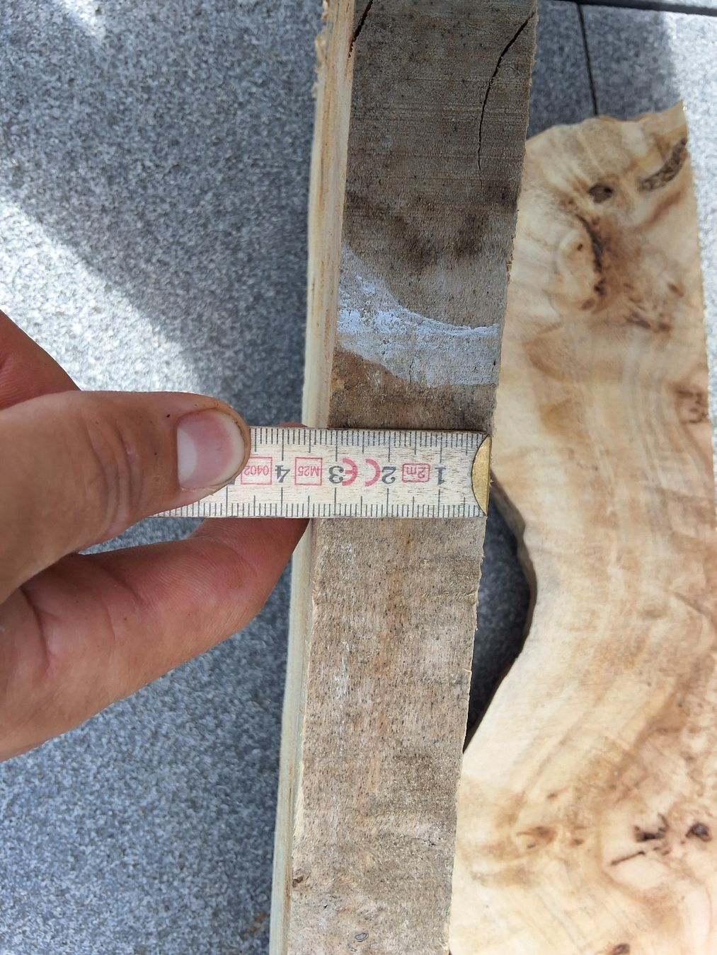 Articoli in legno: Pappel Maserholz – Usato da Birrwil venduto da and_bp8z 1