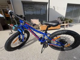 Specialized Riprock 20“