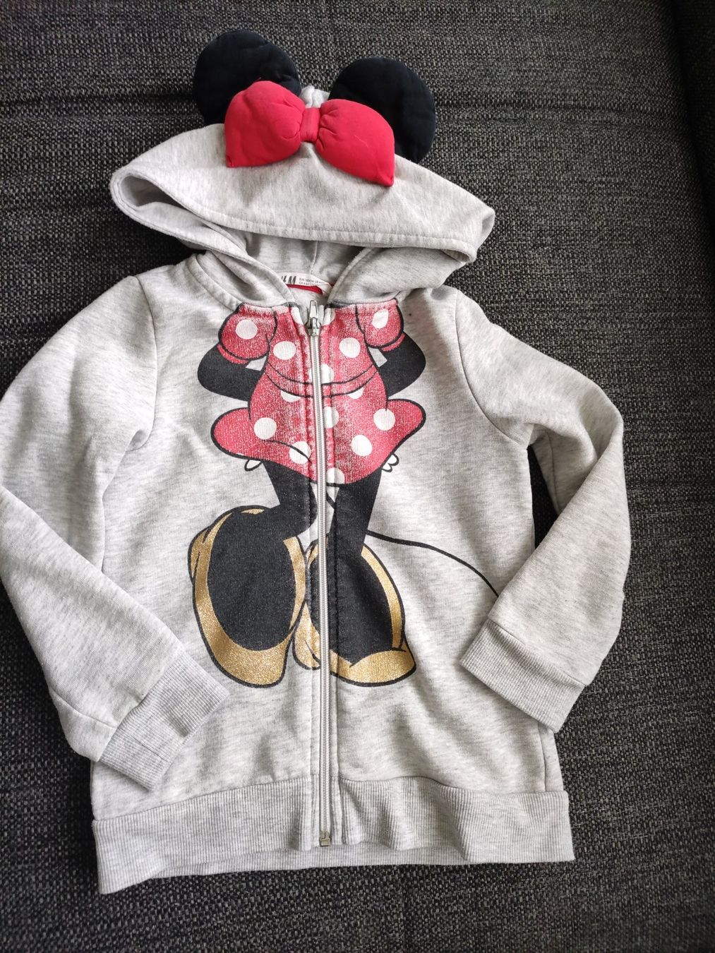 H&M Pullover & Sweatshirts: Kapuzenjacke H&M Gr 110/116 – Gebraucht aus Zollikerberg von nmonika