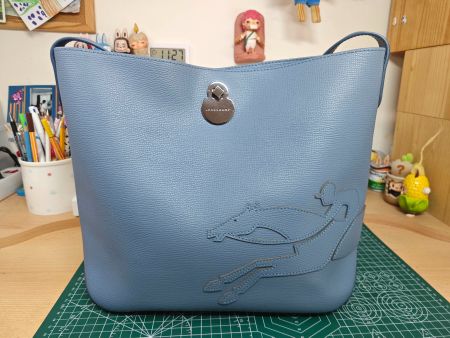 Longchamp Leather Shoulder Bag - Excellent Condition!