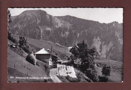 Restaurant de SONCHAUD - Le Malatrey