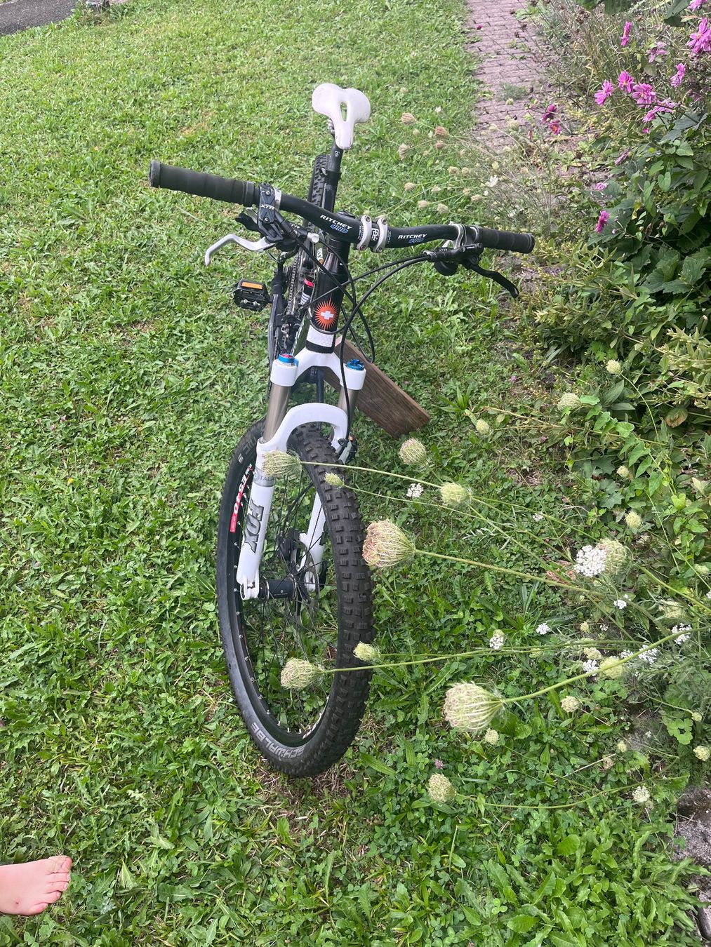 Canyon Velos: Canyon Rockzone – Gebraucht aus Rickenbach SZ von mor_bpq5 1