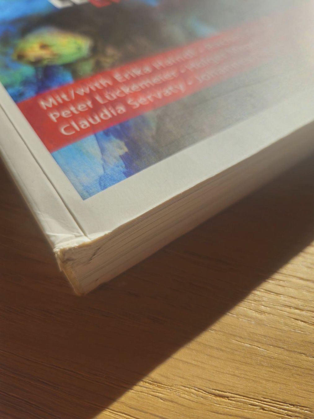 Libri: Der Haindl Tarot & Hermann Haindl Buch – Usato da Nuglar venduto da mjc_cw9f 6