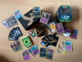Pokémon divers (cartes, box, séparateurs, pochettes, usw.)