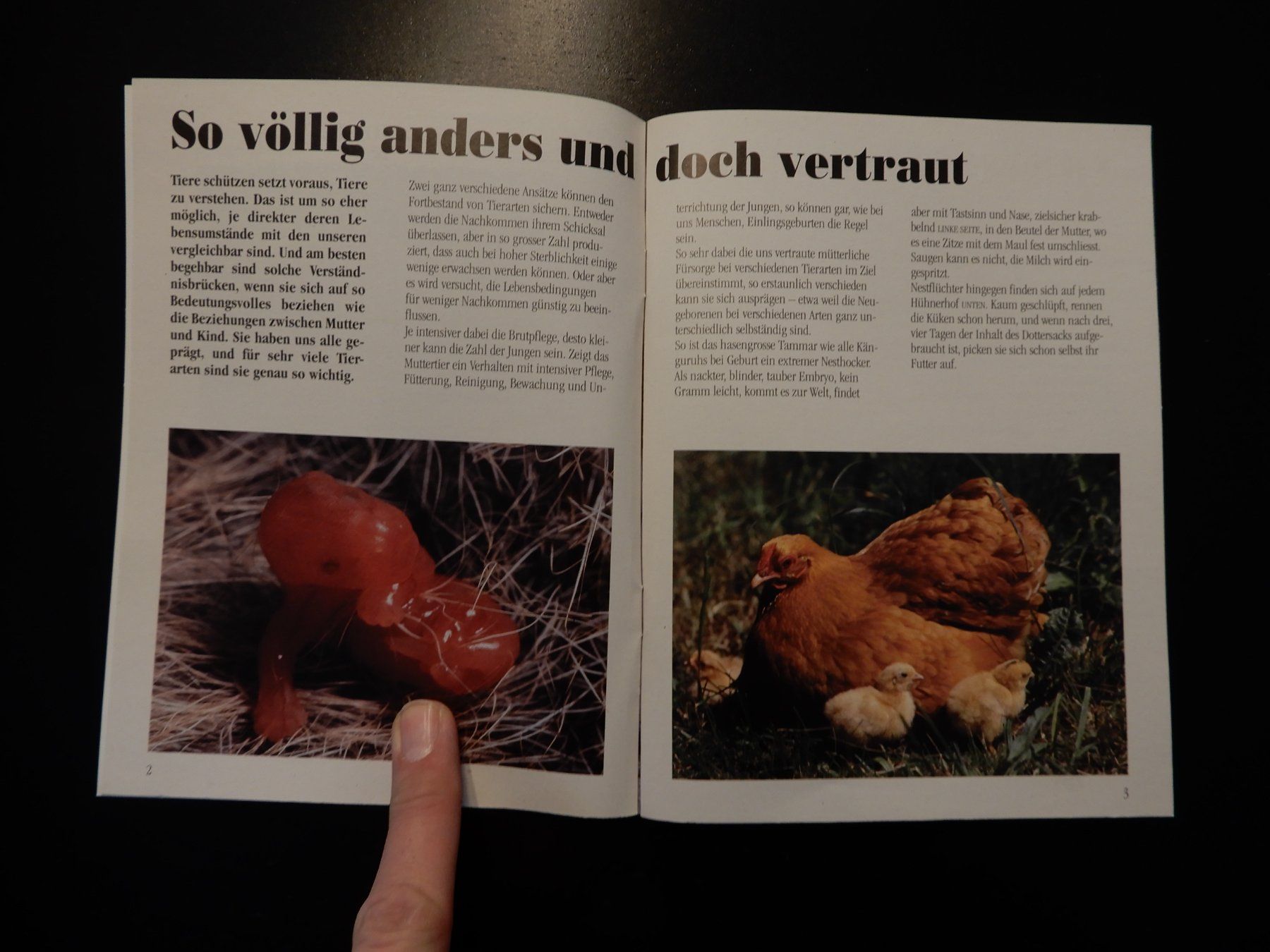 Bücher: Tierbuch "Tiermütter und ihre Kinder" STS – Gebraucht aus Erstfeld von Mario_boe0 2