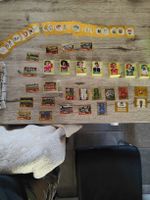 panini sticker 