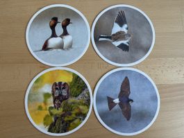 Vogelwarte Schweiz Glasuntersetzer Set, 4 Stk., Neu