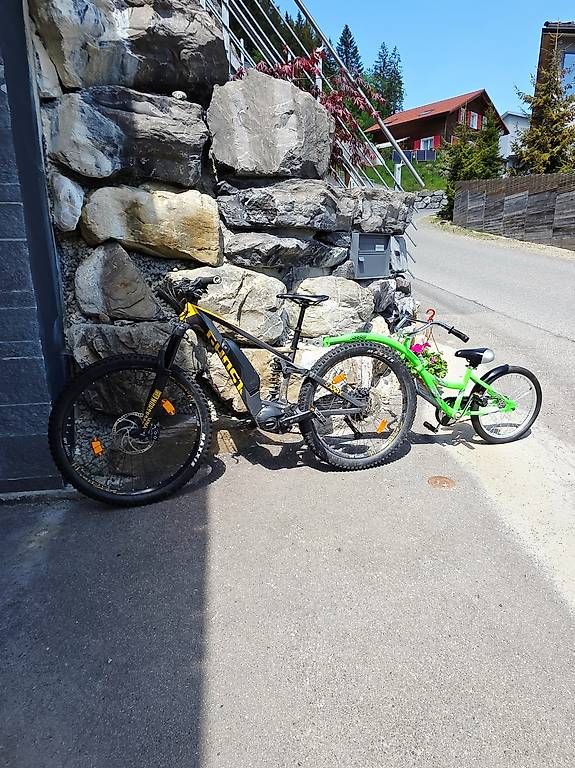 Rimorchi: Weeride Veloanhänger – Usato da Alpthal venduto da yul_c7zt 3