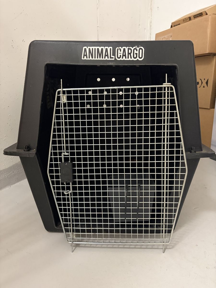 Gabbie, trasporto & Sicurezza: Transportbox Animal Cargo – Usato da Rupperswil venduto da paealarcon