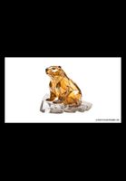 Swiss Crypto Stamp 4 ID2 Kristall