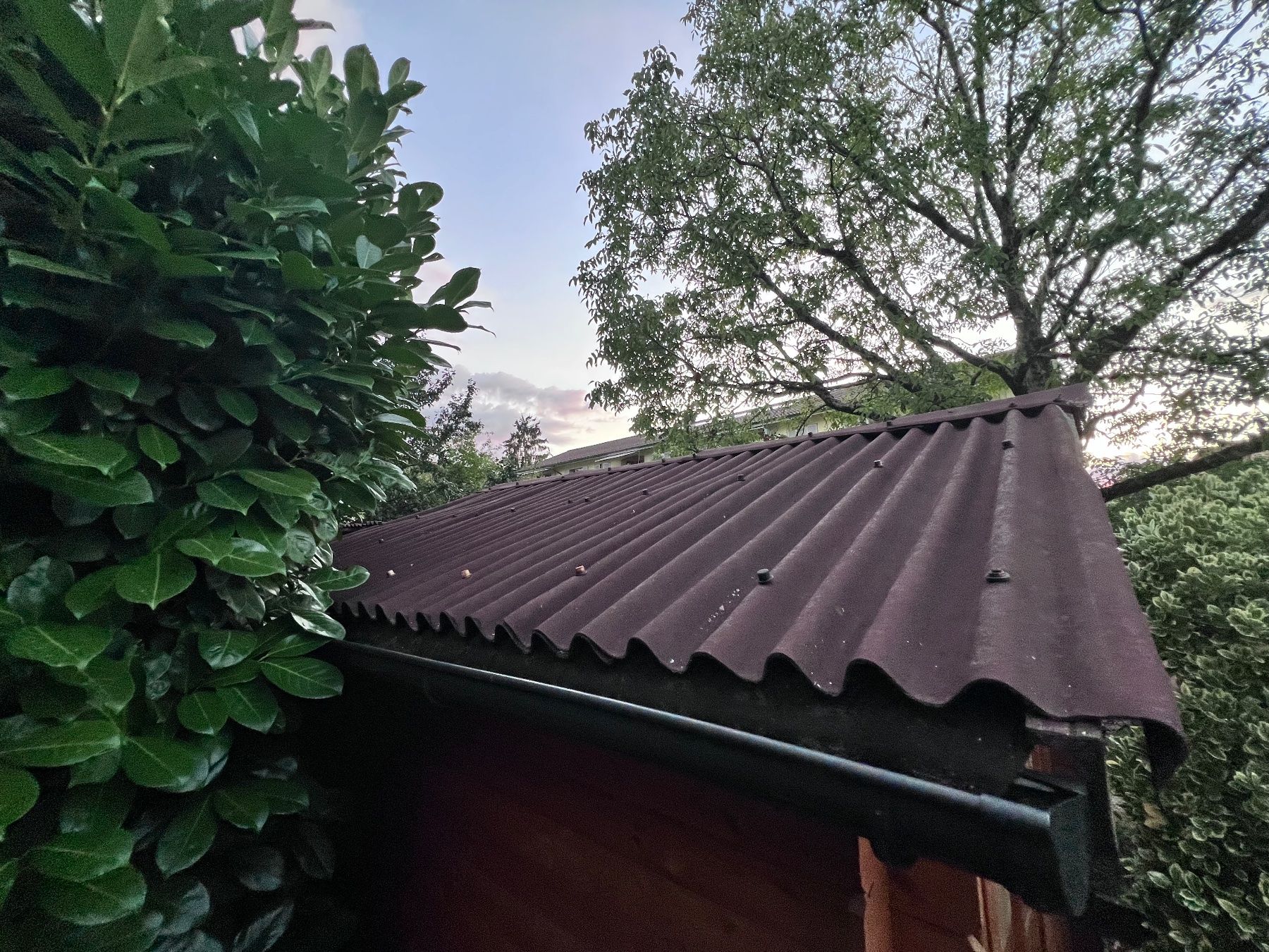 Cabanes de jardin & serres: Gartenhaus – D'occasion à Thun par Angiade 2