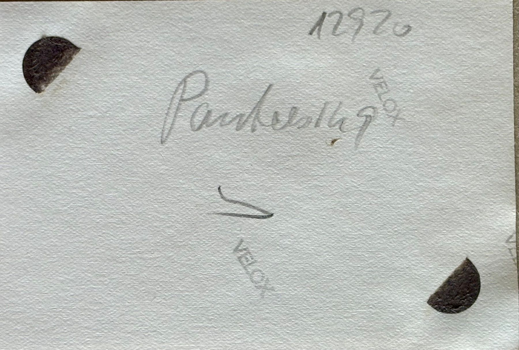 Cartoline postali: Privatfoto ca. 1930 - Pontresina – Usato da Frauenfeld venduto da Merk52 1