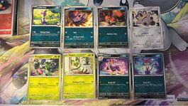 Pokemon Katzen Set 8 Karten neuwertiger Zustand 🇺🇸🇯🇵