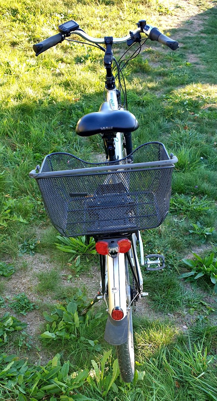 Vélos: Flyer - Elektrovelo – D'occasion à Holziken par Ernst-Karl 3