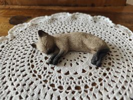 Siamkatze schlafend von Sandra Brue Sandicast