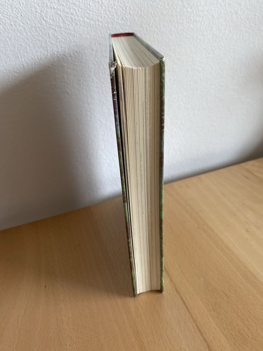 Libri: Ronja Räubertochter - Astrid Lindgren – Usato da Schwarzenburg venduto da Michellu 2