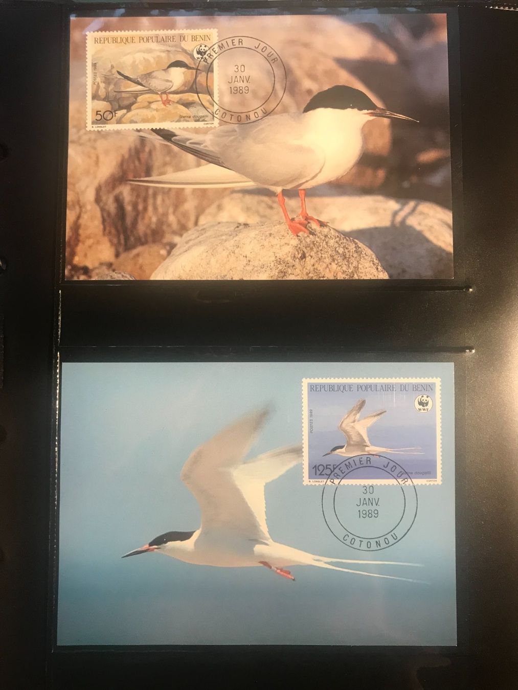 Alle Briefmarken: WWF Benin 1989 Rosenseeschwalbe Satz Maximumkarten – Neu (gemäss Beschreibung) aus Liestal von schnueps 1