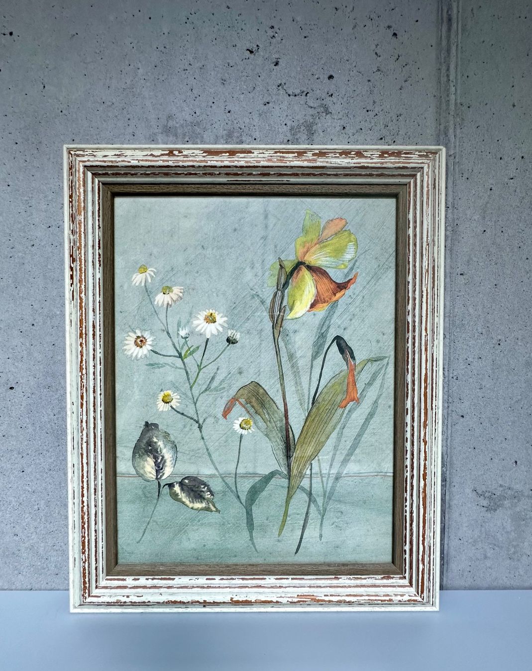 Foto & Immagini: Bilder mit Blumenmotiven – Usato da Leuk-Stadt venduto da 2thcircle 4
