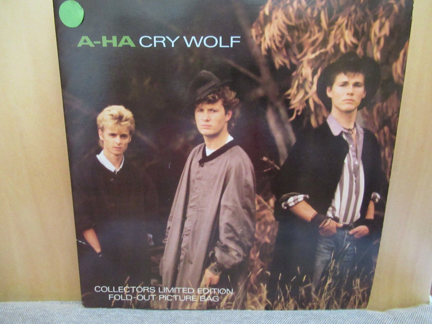 Dischi in vinile: A _ HA - CRY WOLF – Usato da Grône venduto da Mire01