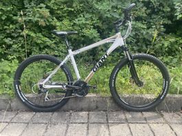 Giant Revel 26