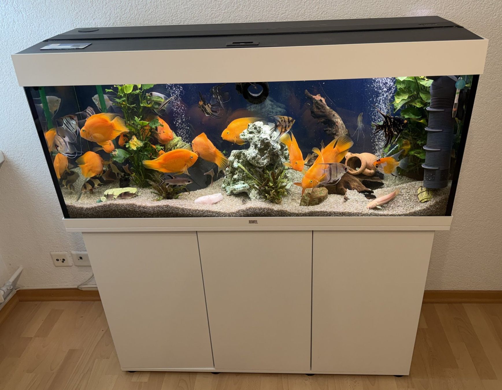 Juwel Aquarium: Juwel Rio 240 LED Kombination, weiß ... – Gebraucht aus Chur von Papageibarsch77