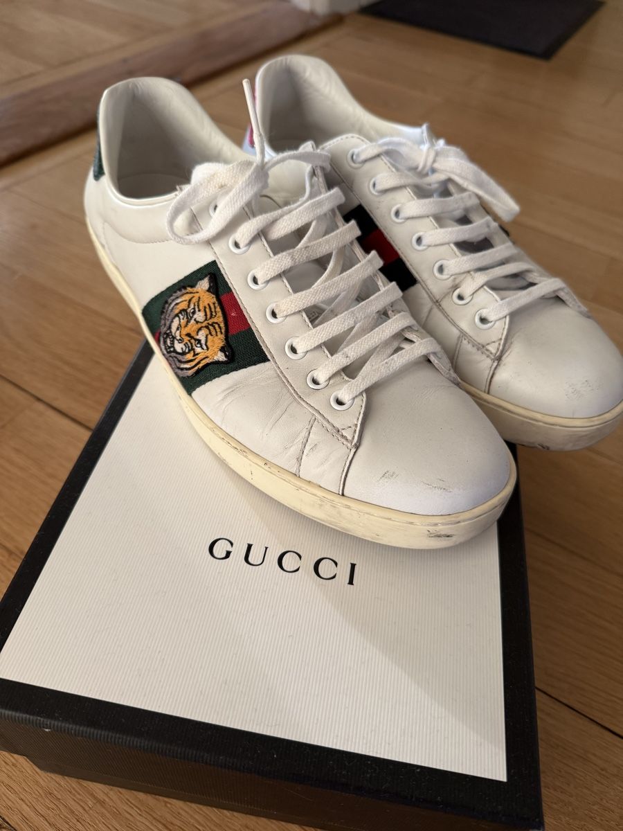 Gucci Chaussures hommes: Gucci - baskets ACE – D'occasion à Villars-sur-Ollon par bab_fy88 1