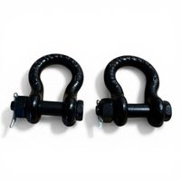 2er Set Safetex Schäkel 7/16'' 1.5 Tonne Traglast (X1079)