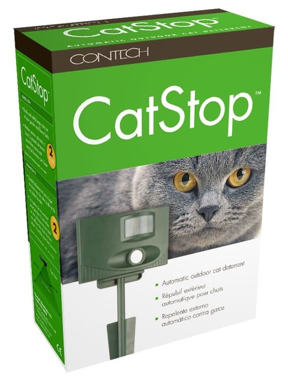 Was Halt Katzen Fern