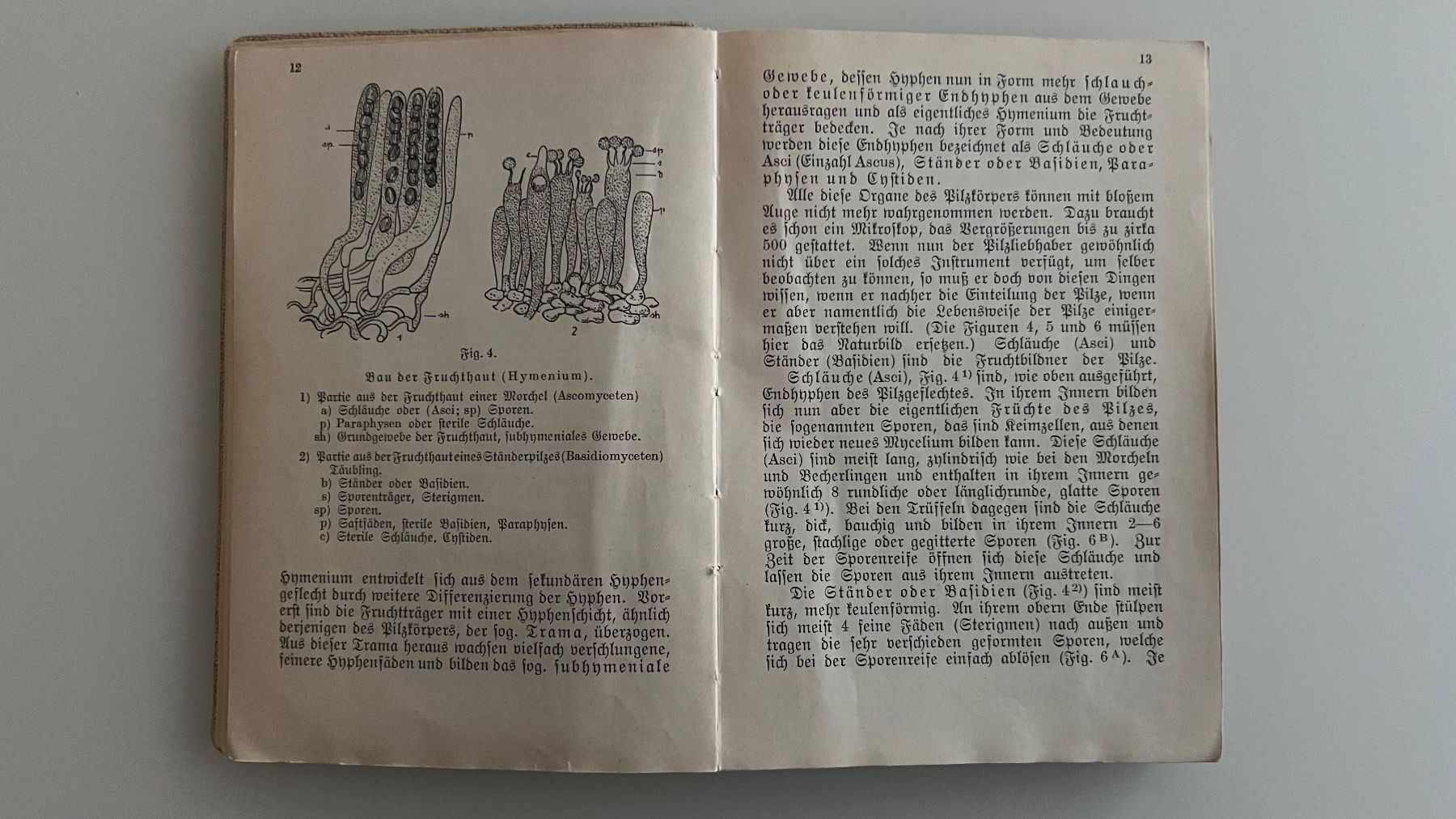 Bücher: "Schweizer Pilzbuch" von E. Habersaat – Gebraucht aus Kehrsatz von Louvitesse 2