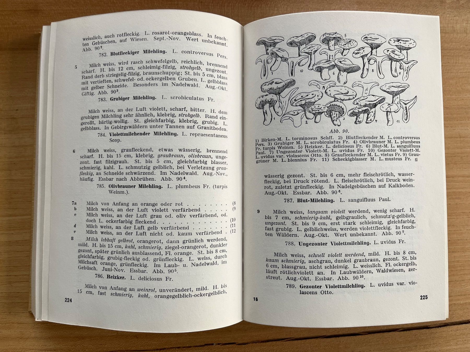 Libri: Pilzbücher diverse antiquarisch – Usato da Märwil venduto da tricholoma 6
