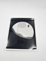 Original NASA Pressefoto Gemini 2 1965 Erdkrümmung 2er-Set
