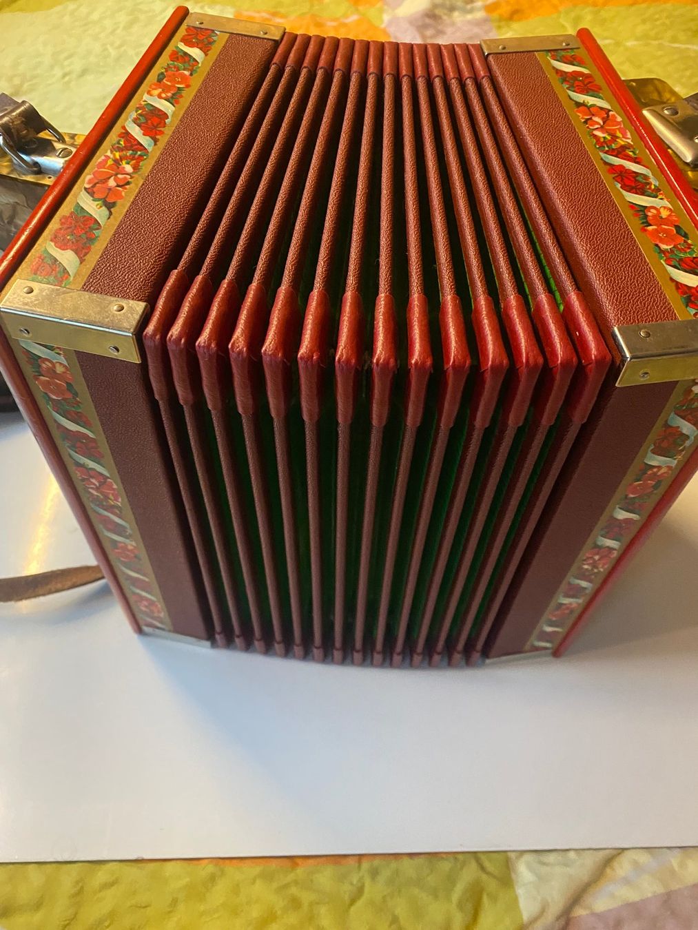Strumenti musicali: Schwyzerörgeli  B – Usato da Naters venduto da egarli