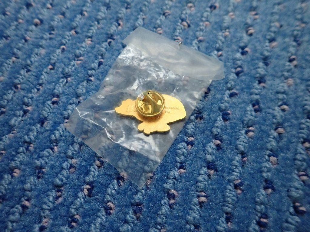 Placchette & Badge: Pin Berner Versicherung schwarzer Bär – Nuovo (secondo la descrizione) da Galgenen venduto da Marc98 1
